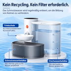 Trinkbrunnen für Katzen & kleine Hunde, 3 Liter – Katzenbrunnen ohne Filter