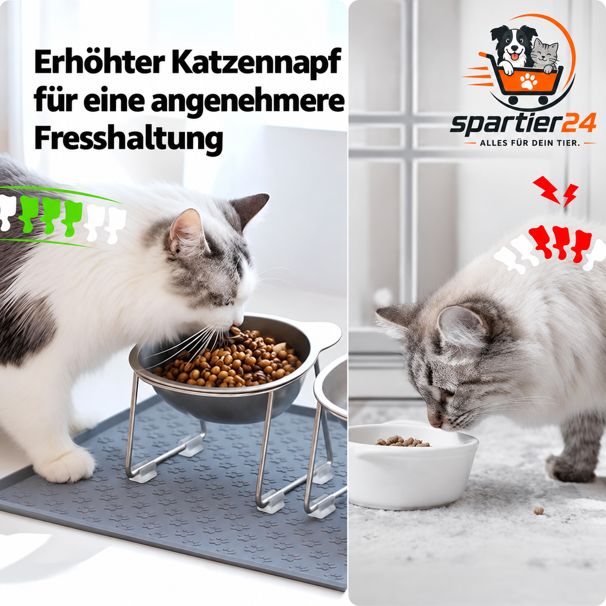 Erhöhter Edelstahl-Napf für Katzen, 15° geneigt – nackenschonend