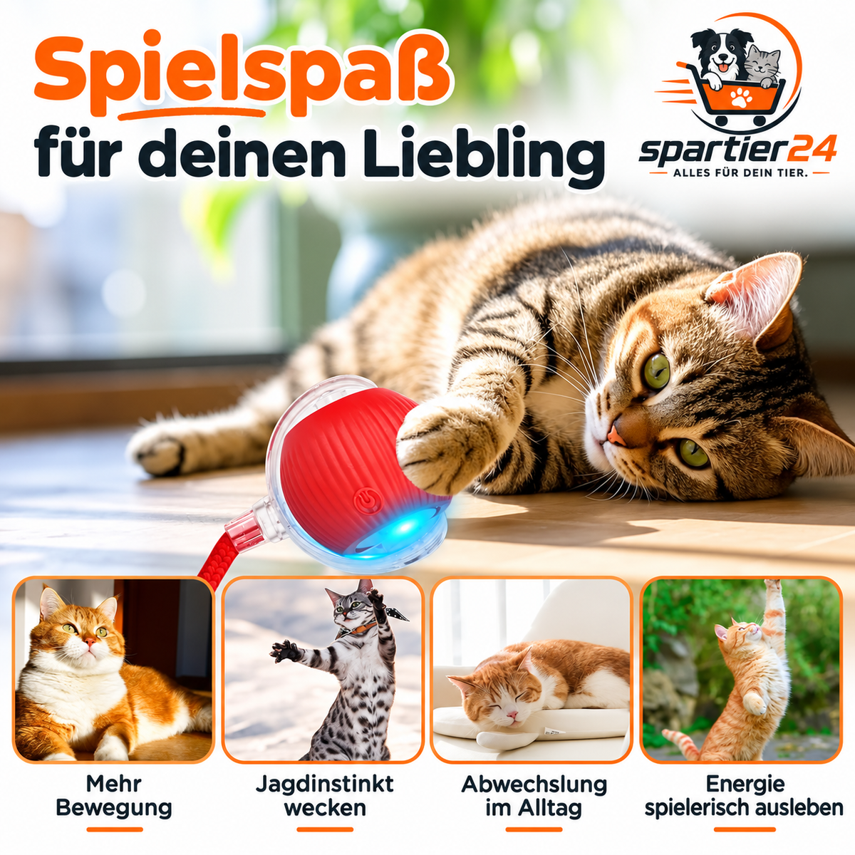 Interaktives Katzenspielzeug – weckt den Jagdtrieb