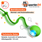 Interaktives Katzenspielzeug – Spielvogel und Ball mit Schweif